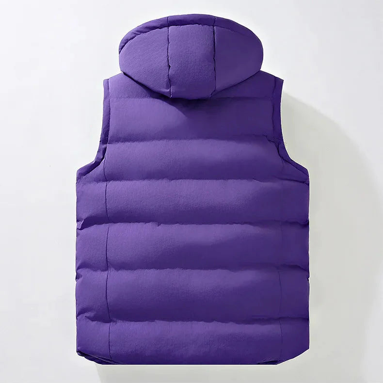 Alpine 2.0 Hooded Vest